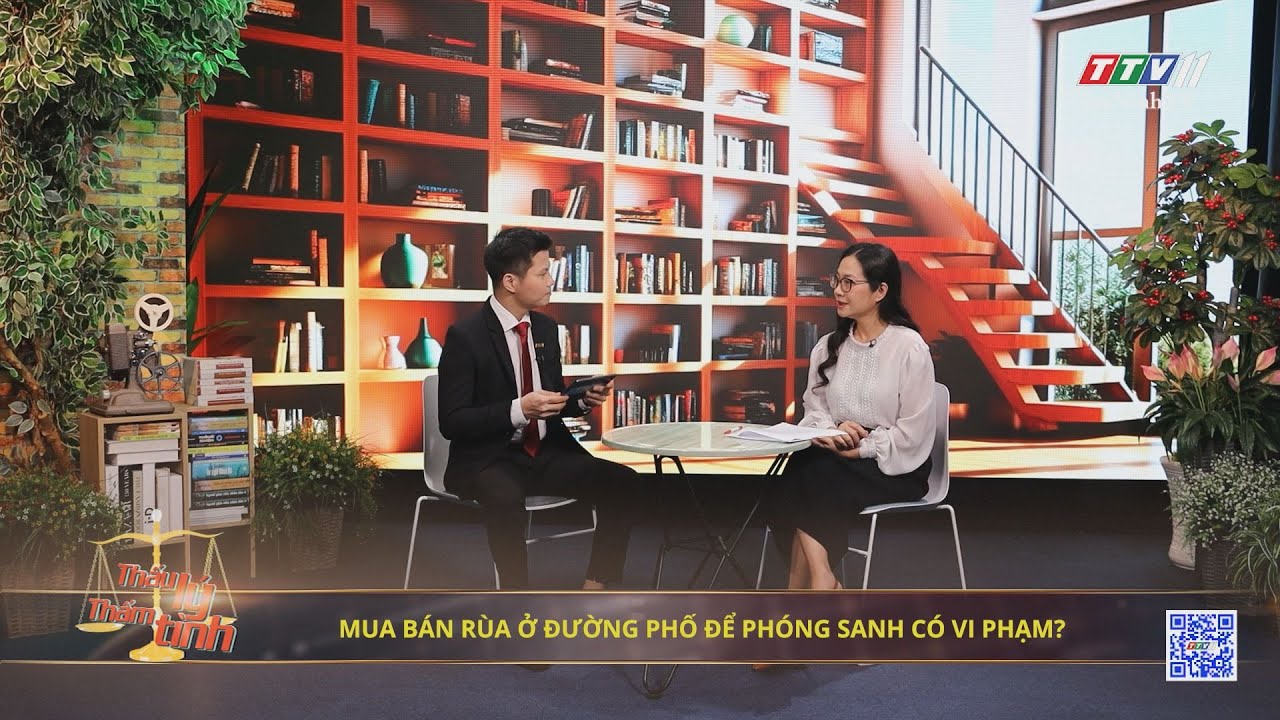 Mua bán rùa ở đường phố để phóng sanh có vi phạm | 29-9-2024 | THẤU LÝ THẤM TÌNH | TayNinhTVArt